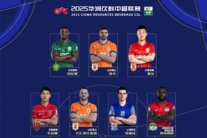 中超6月最佳阵容：谭龙、韦世豪入选 法比奥、泽卡、特谢拉在列