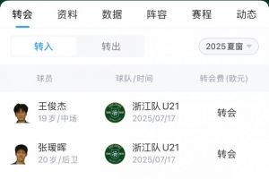 浙江队夏窗汇总：200万欧签米特里策、租借卡列洛，埃弗拉离队